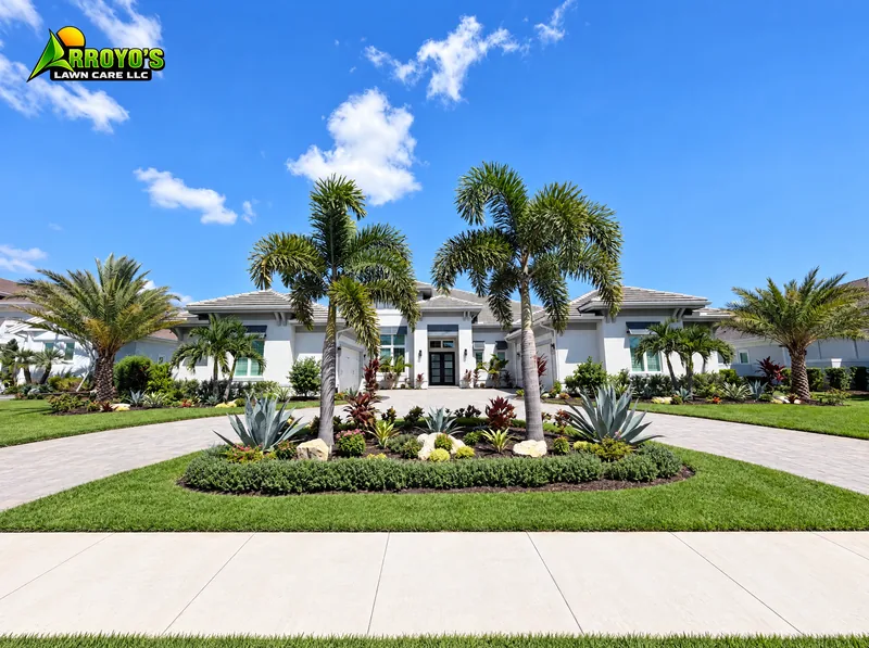 Driveway island planting: palms, agave, and a hedge border