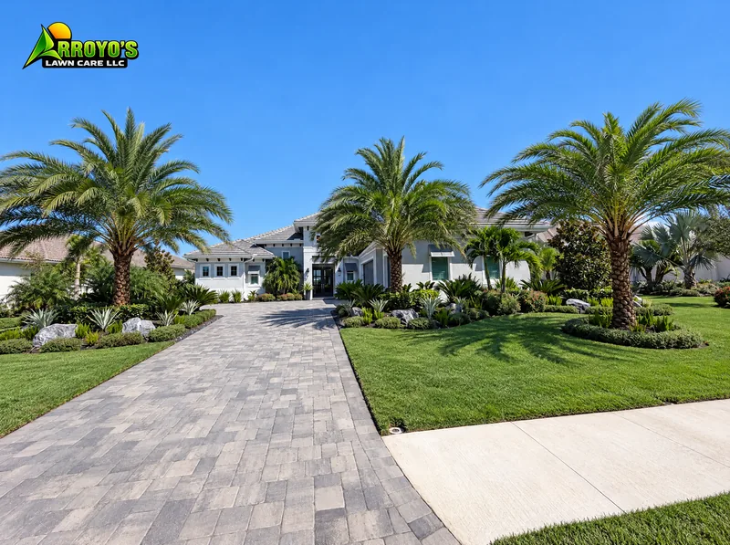 Sylvester palm-lined driveway: sylvester palms and planting beds